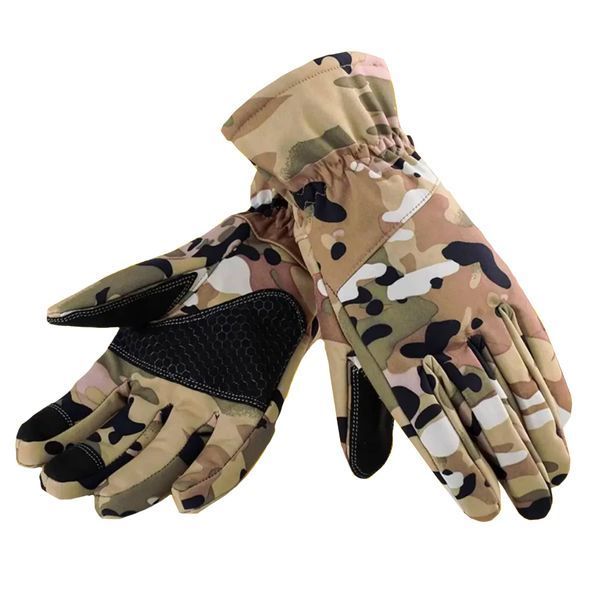 , Multicam, L